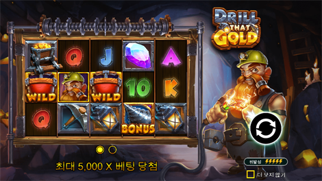 퀴니