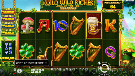 캐시 엘리베이터